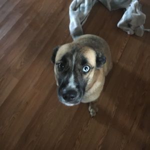 Meet your Posher, Donna